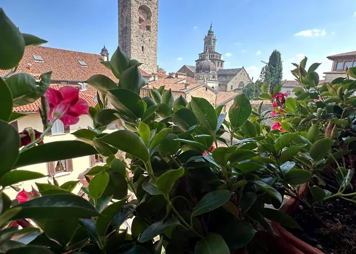 Il Giardino Nel Cuore Dom wakacyjny *